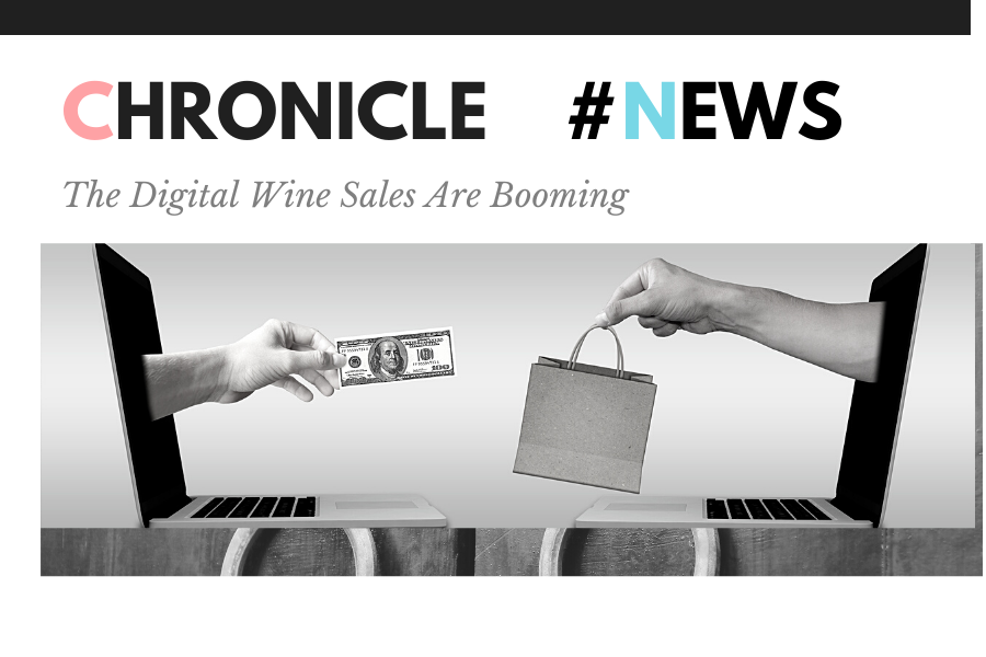 Bottli provide digital solutions for winegrowers and winemakers